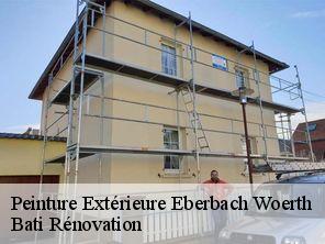 Peinture Extérieure  eberbach-woerth-67110 Bati Rénovation
