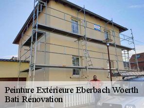 Peinture Extérieure eberbach-woerth-67110 Bati Rénovation