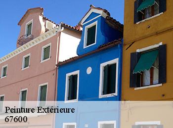 Peinture Extérieure