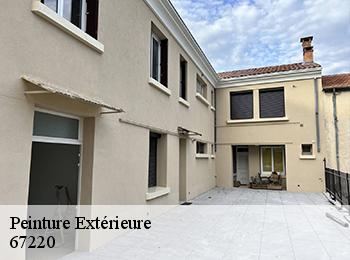 Peinture Extérieure  67220