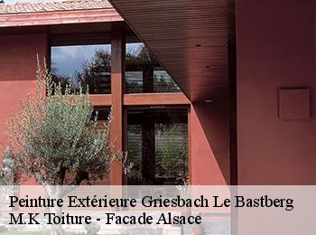 Peinture Extérieure  griesbach-le-bastberg-67330 M.K Toiture - Facade Alsace