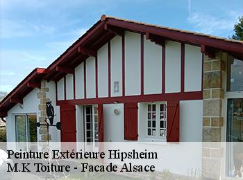 Peinture Extérieure  67150