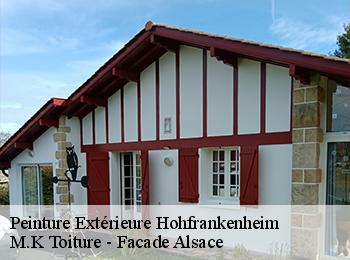 Peinture Extérieure  67270