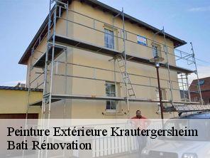 Peinture Extérieure  krautergersheim-67880 Bati Rénovation