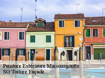 Peinture Extérieure  67220