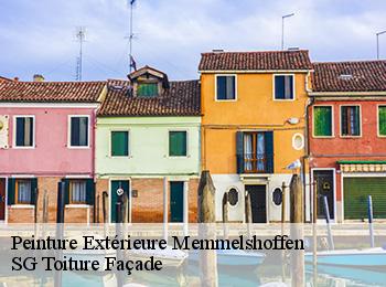 Peinture Extérieure  67250