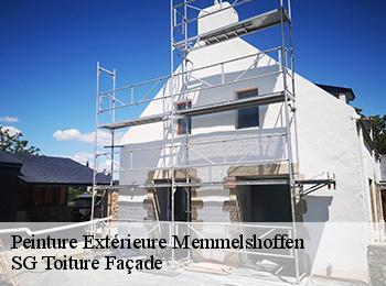 Peinture Extérieure