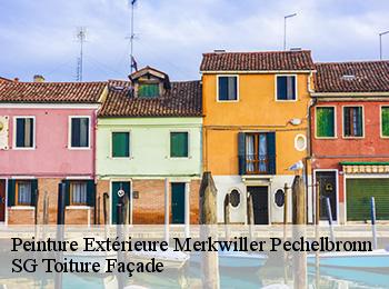 Peinture Extérieure  67250