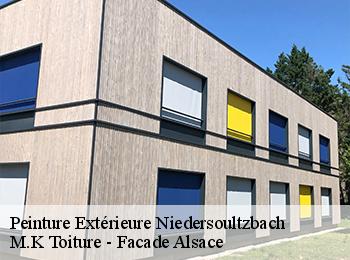 Peinture Extérieure