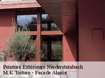 Peinture Extérieure  niedersteinbach-67510 M.K Toiture - Facade Alsace