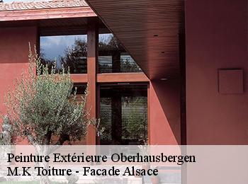 Peinture Extérieure oberhausbergen-67205 M.K Toiture - Facade Alsace