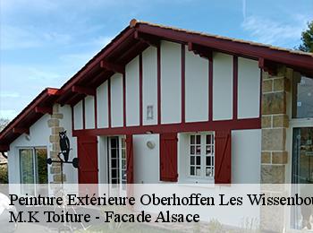 Peinture Extérieure 67160
