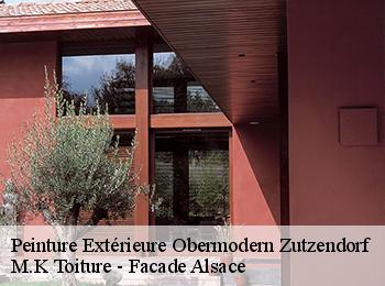 Peinture Extérieure  obermodern-zutzendorf-67330 M.K Toiture - Facade Alsace