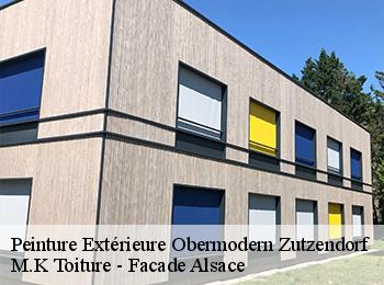 Peinture Extérieure