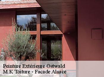 Peinture Extérieure ostwald-67540 M.K Toiture - Facade Alsace