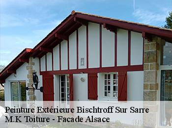 Peinture Extérieure  67260