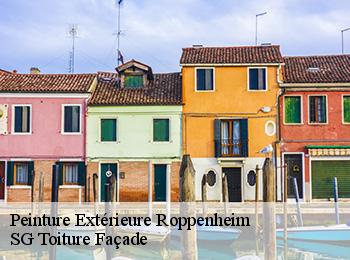 Peinture Extérieure  67480