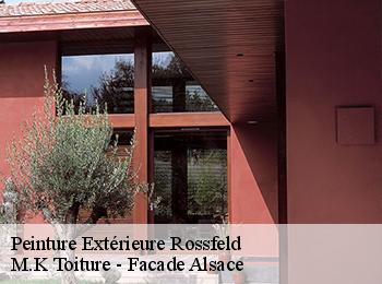 Peinture Extérieure  rossfeld-67230 M.K Toiture - Facade Alsace