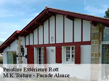Peinture Extérieure 67160