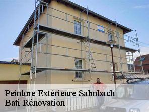 Peinture Extérieure  salmbach-67160 Bati Rénovation