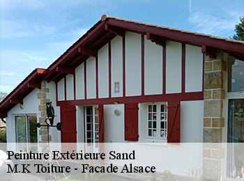 Peinture Extérieure  67230