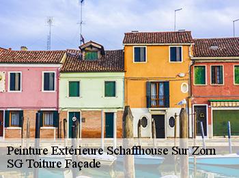 Peinture Extérieure  67270