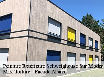 Peinture Extérieure