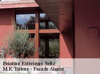 Peinture Extérieure  seltz-67470 M.K Toiture - Facade Alsace