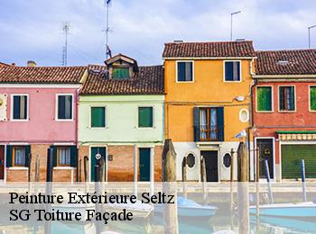 Peinture Extérieure  67470