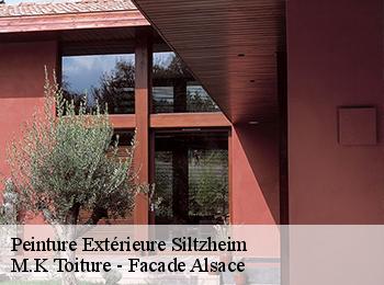 Peinture Extérieure siltzheim-67260 M.K Toiture - Facade Alsace