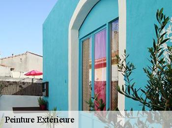 Peinture Extérieure