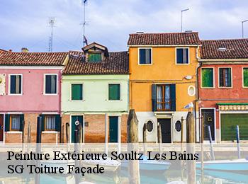 Peinture Extérieure  67120