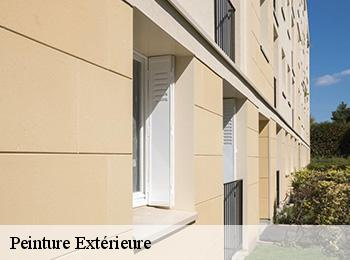 Peinture Extérieure 67170