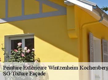 Peinture Extérieure wintzenheim-kochersberg-67370 SG Toiture Façade