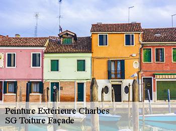 Peinture Extérieure 67220