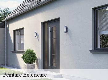 Peinture Extérieure