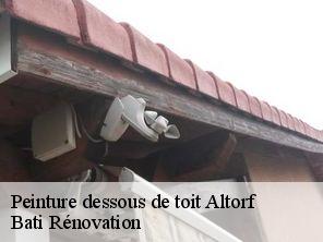 Peinture dessous de toit  altorf-67120 Bati Rénovation