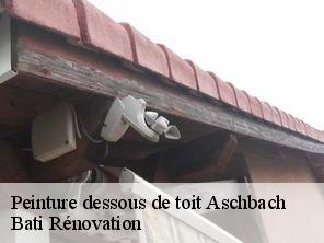 Peinture dessous de toit  aschbach-67250 Bati Rénovation