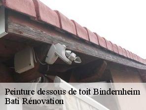 Peinture dessous de toit  bindernheim-67600 Bati Rénovation