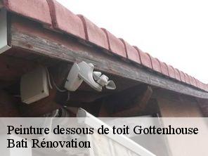 Peinture dessous de toit  gottenhouse-67700 Bati Rénovation