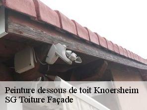 Peinture dessous de toit  knoersheim-67310 SG Toiture Façade