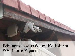 Peinture dessous de toit kolbsheim-67120 SG Toiture Façade