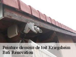 Peinture dessous de toit  kriegsheim-67170 Bati Rénovation