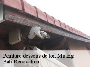 Peinture dessous de toit mutzig-67190 Bati Rénovation