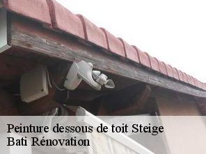 Peinture dessous de toit  steige-67220 Bati Rénovation