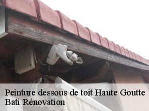 Peinture dessous de toit  haute-goutte-67130 Bati Rénovation