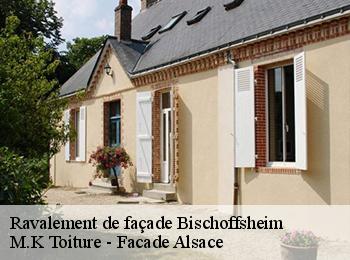 Ravalement de façade  67870