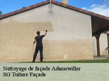 Nettoyage de façade