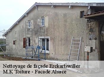 Nettoyage de façade  67290