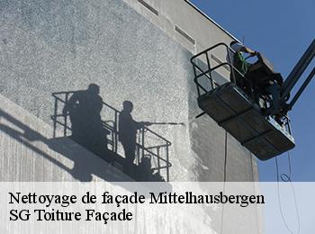 Nettoyage de façade 67206